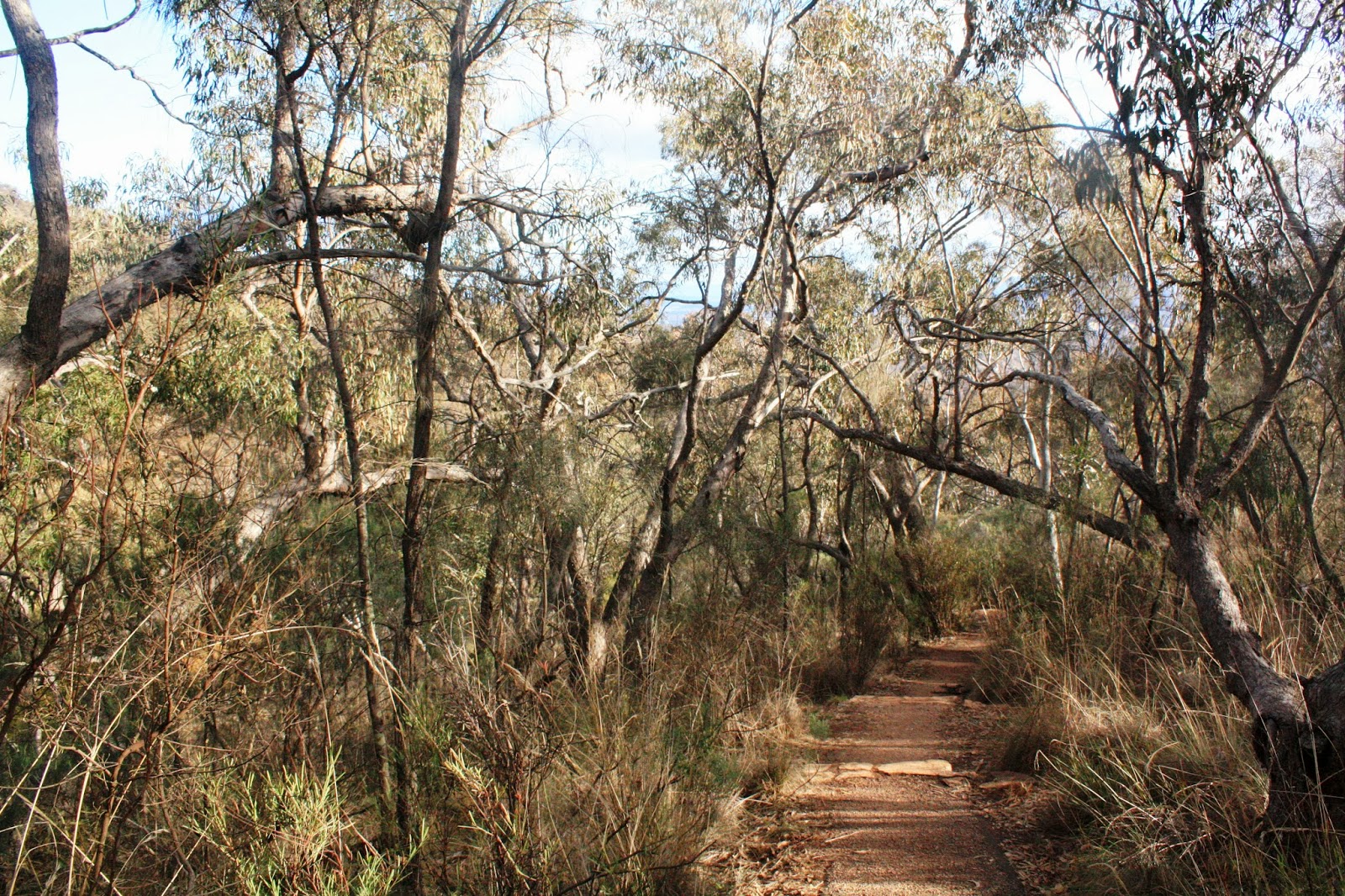 My week in pictures Mount Majura