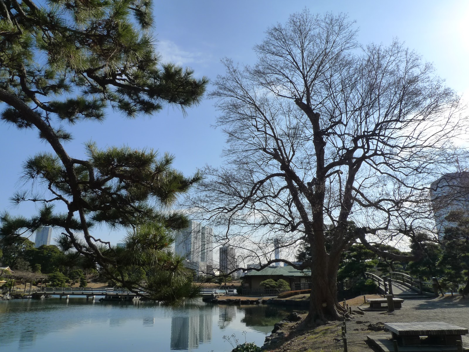 東京 浜離宮恩賜庭園 中島茶屋 Gary的玩物誌 痞客邦