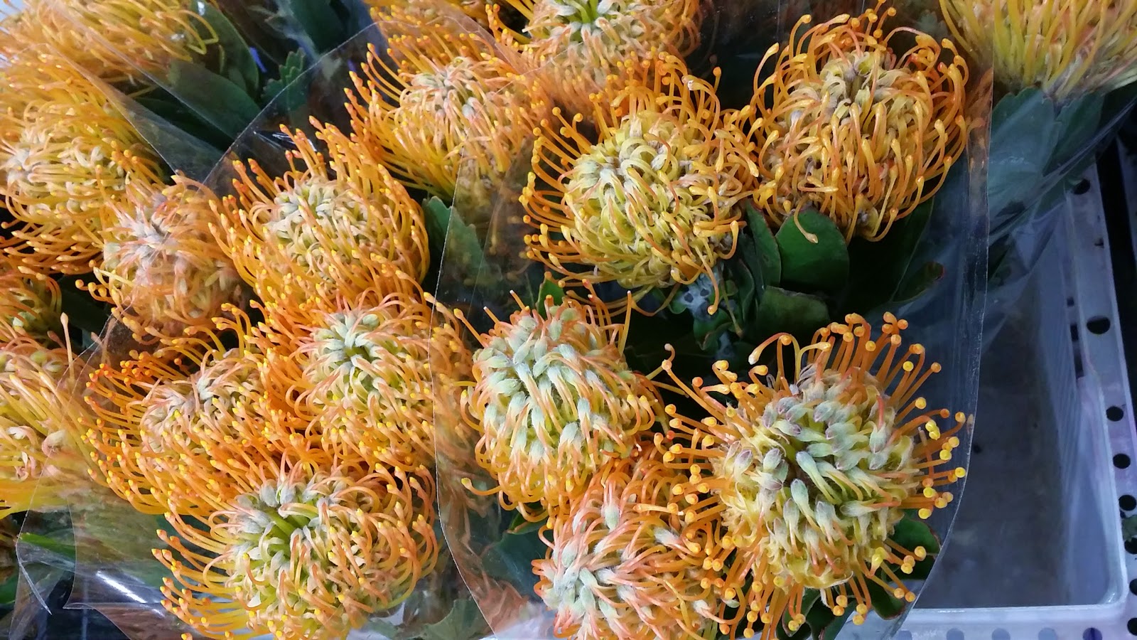 Antique and Design Center of High Point, April 4th10th, 2019 Chelsea