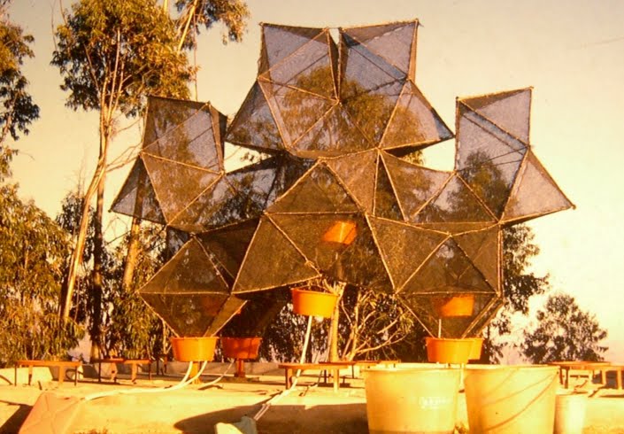 INTEGRADO 2011 ATRAPANIEBLAS Atrapanieblas