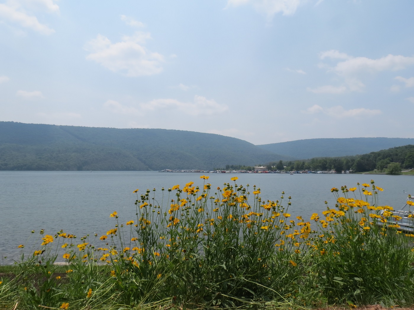 Viewing nature with Eileen Trough Creek & Raystown Lake