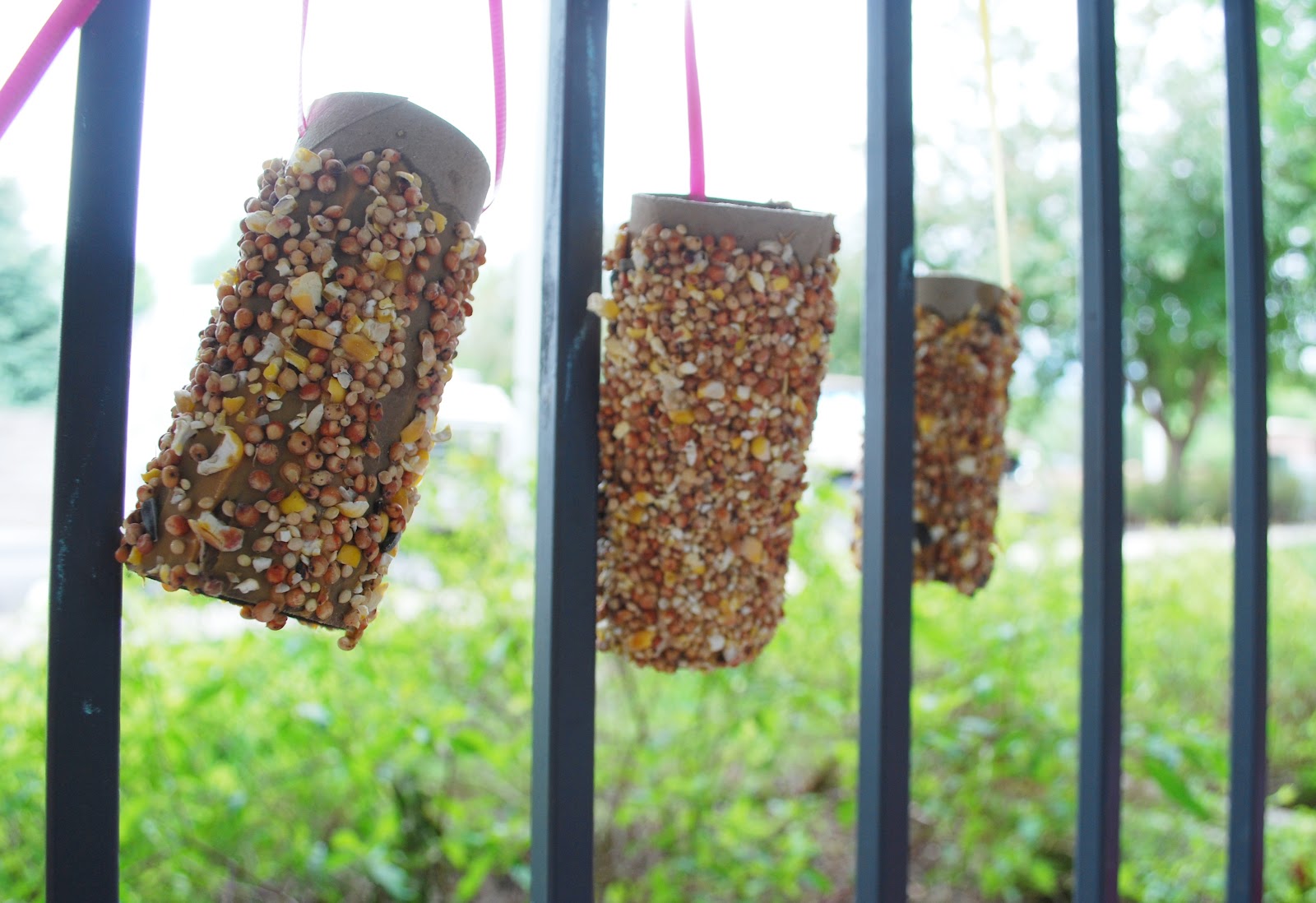 Bean and Bug Peanut Butter Bird Feeders!