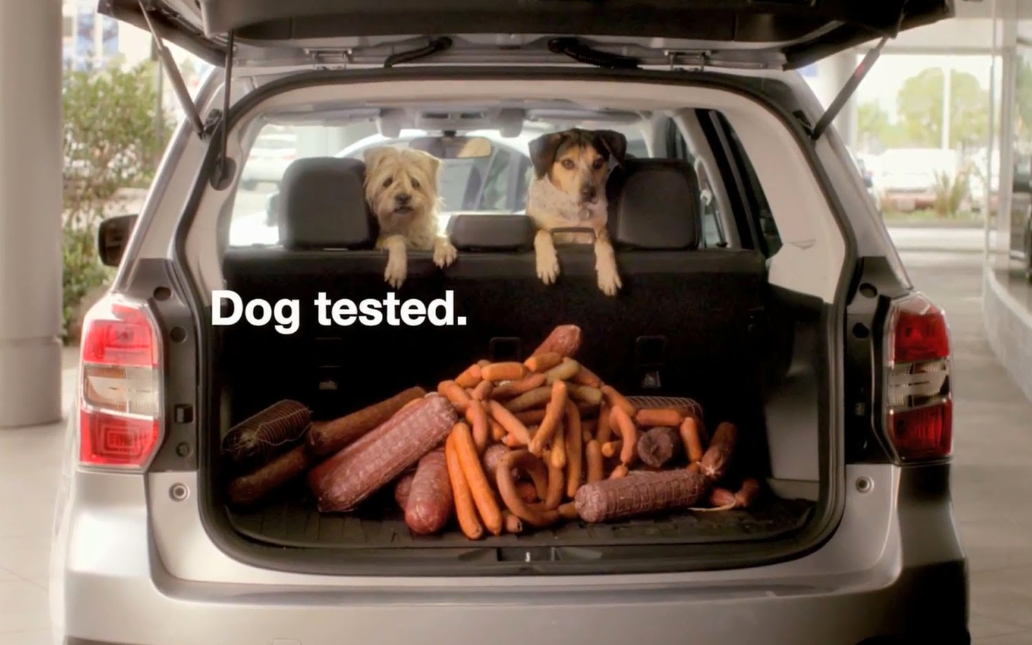 Subanews by Burlington Subaru Subaru's Dog Tested, Dog Approved