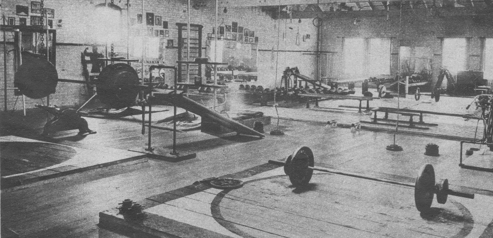 The Tight Tan Slacks of Dezso Ban September 2015