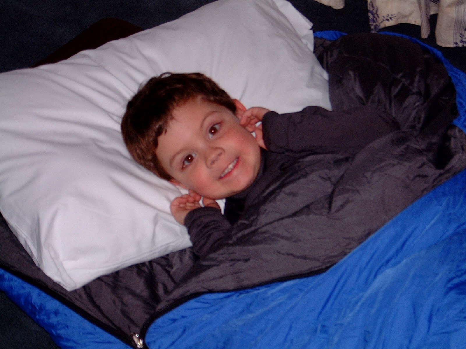 Family Volley Bad Dreams, Nightmares AND Night Terrors