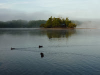 Ostrov na rybníce Svět