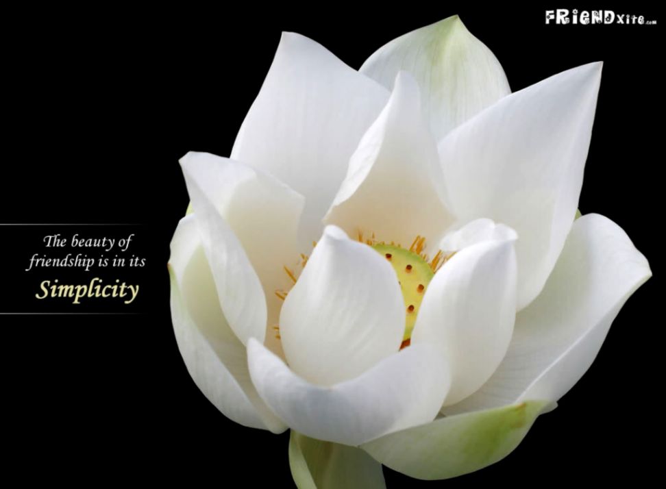 Funeral Flower Sympathy Ideas Send Flowers Hyderabad Funeral Flower Sympathy Ideas Send Flowers Hyderabad
