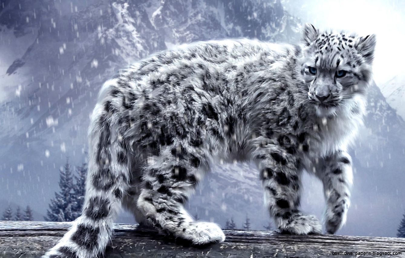 White Snow Leopards White Snow Leopards