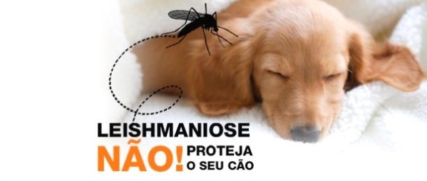 PROTEJA SEU CACHORRO, VACINE O CONTRA LEISHMANIOSE