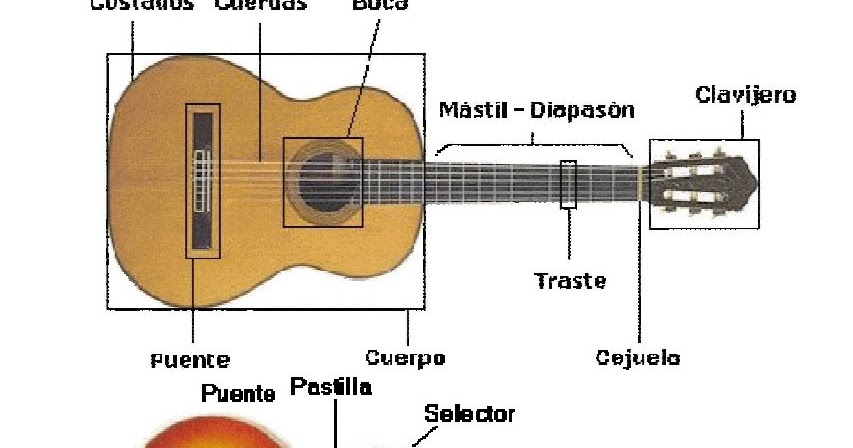 Estructura de la Guitarra - APRENDE A TOCAR LA GUITARRA