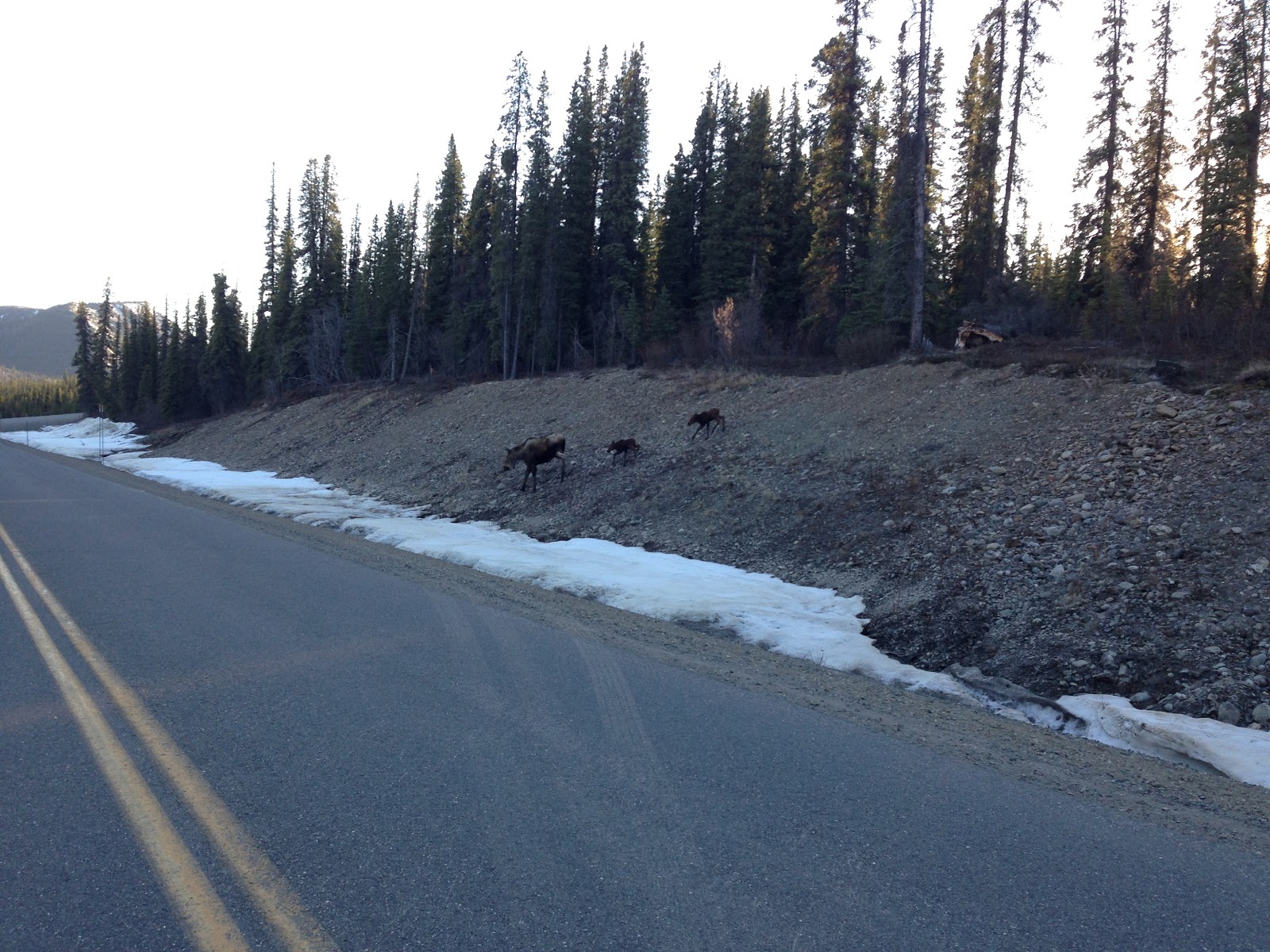 Two Many Adventures Trapper Creek, Alaska