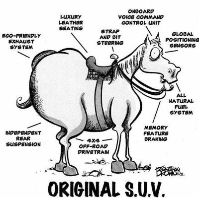 Suburban Hoofbeats: Country Humor