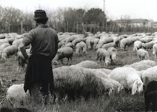 shepherd