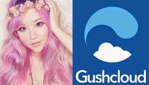 Did Gushcloud Just Spend $26,000 on a Poor Response to the Xiaxue Saga?