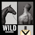 don't get mad, get WILD. WILD by Dsquared2