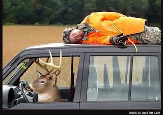 Funny+deer+images2.jpg