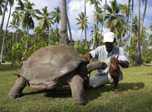 quel animal vit 100 ans