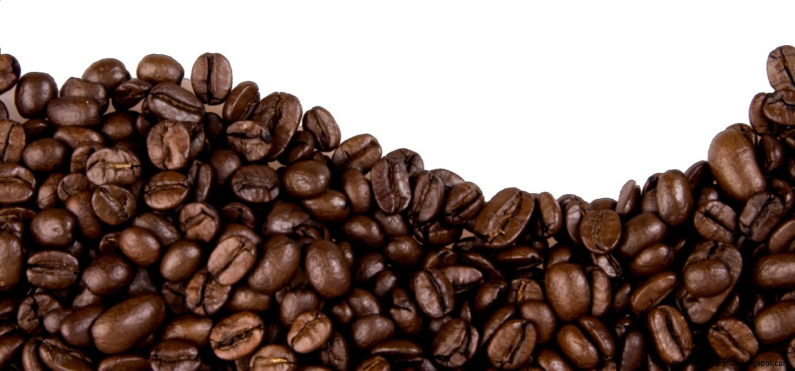 coffeebeansPNG9281 coffeebeansPNG9281