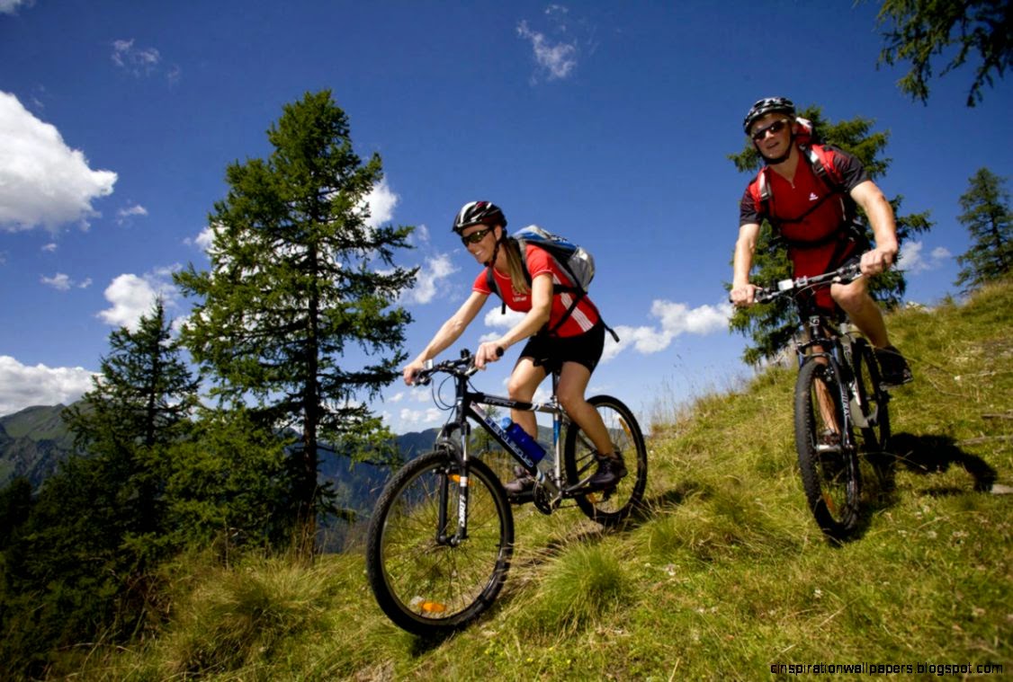 Tourist Information La Poggiolaia Tourist Information La Poggiolaia