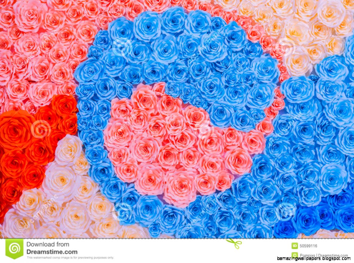 Abstract Rainbow Colorful Rose Flower Paper Background Wallpaper Abstract Rainbow Colorful Rose Flower Paper Background Wallpaper