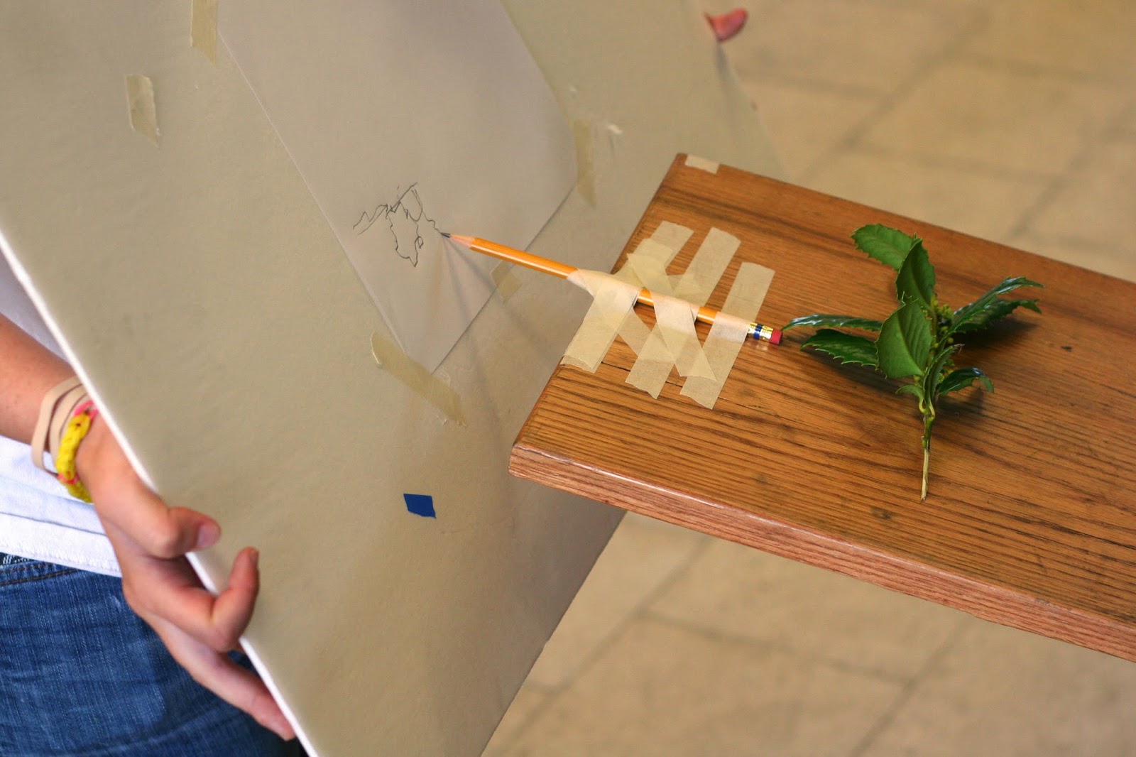 Stephen Watson Art 110 Lesson Plan Plant Twelve Ways