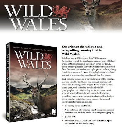 WILD WALES-DVD