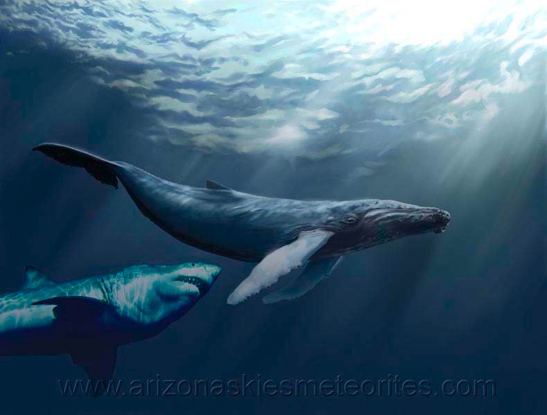 Megalodon Shark Attack
