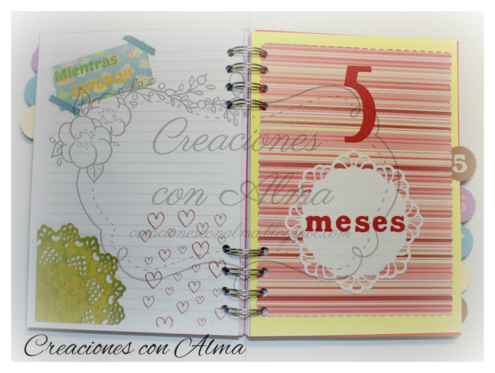 Tiny House Nation: A Tour of Minimalist Living - YouTube