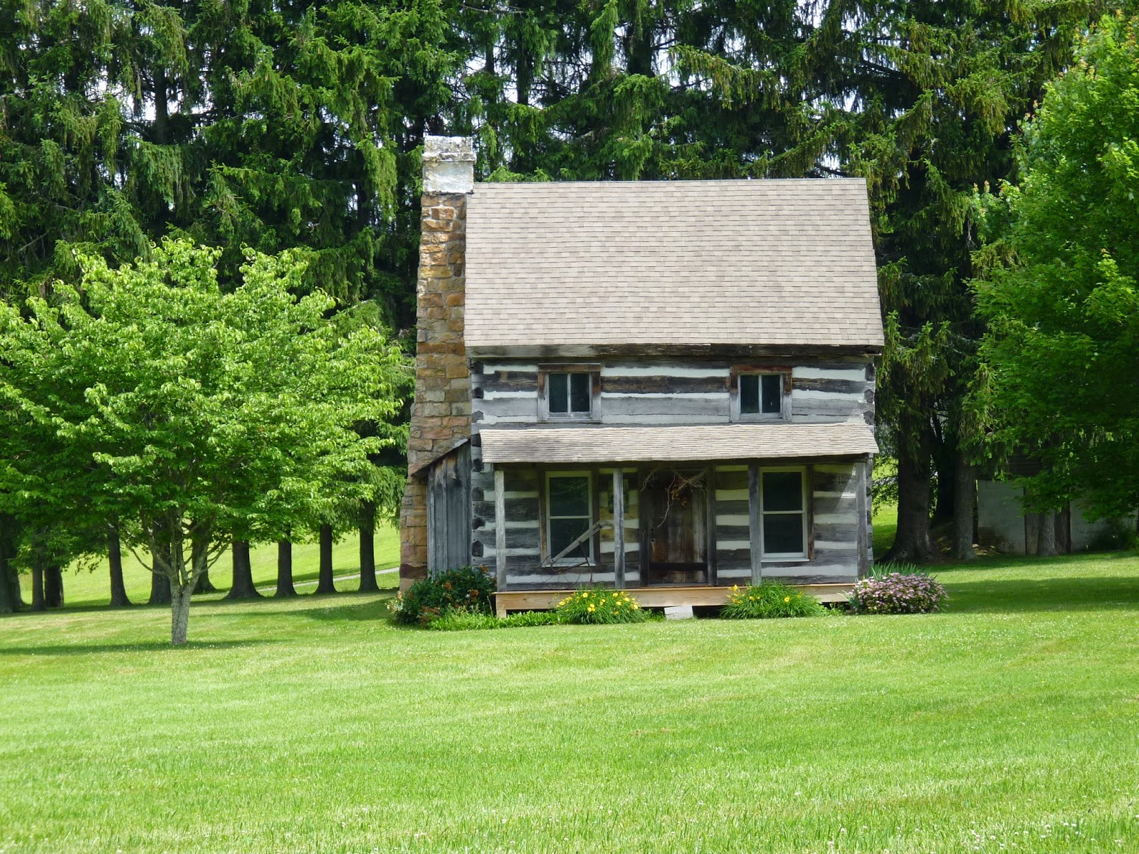 Granny Sue's News and Reviews June 2014