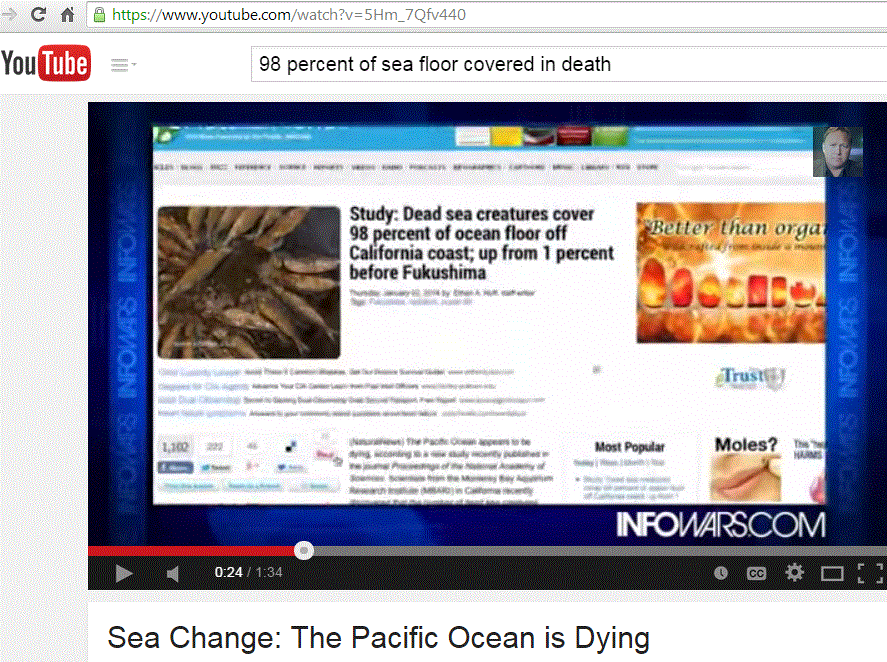 http://3.bp.blogspot.com/-yBwntCaZanA/VK1N0qwDfmI/AAAAAAAAETs/vMOb-PKBwhs/s1600/dead%2Bsea%2Bcreatures%2Bpacific%2Bocean1.GIF
