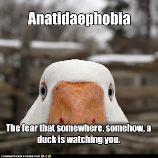 anatidaephobia.jpg