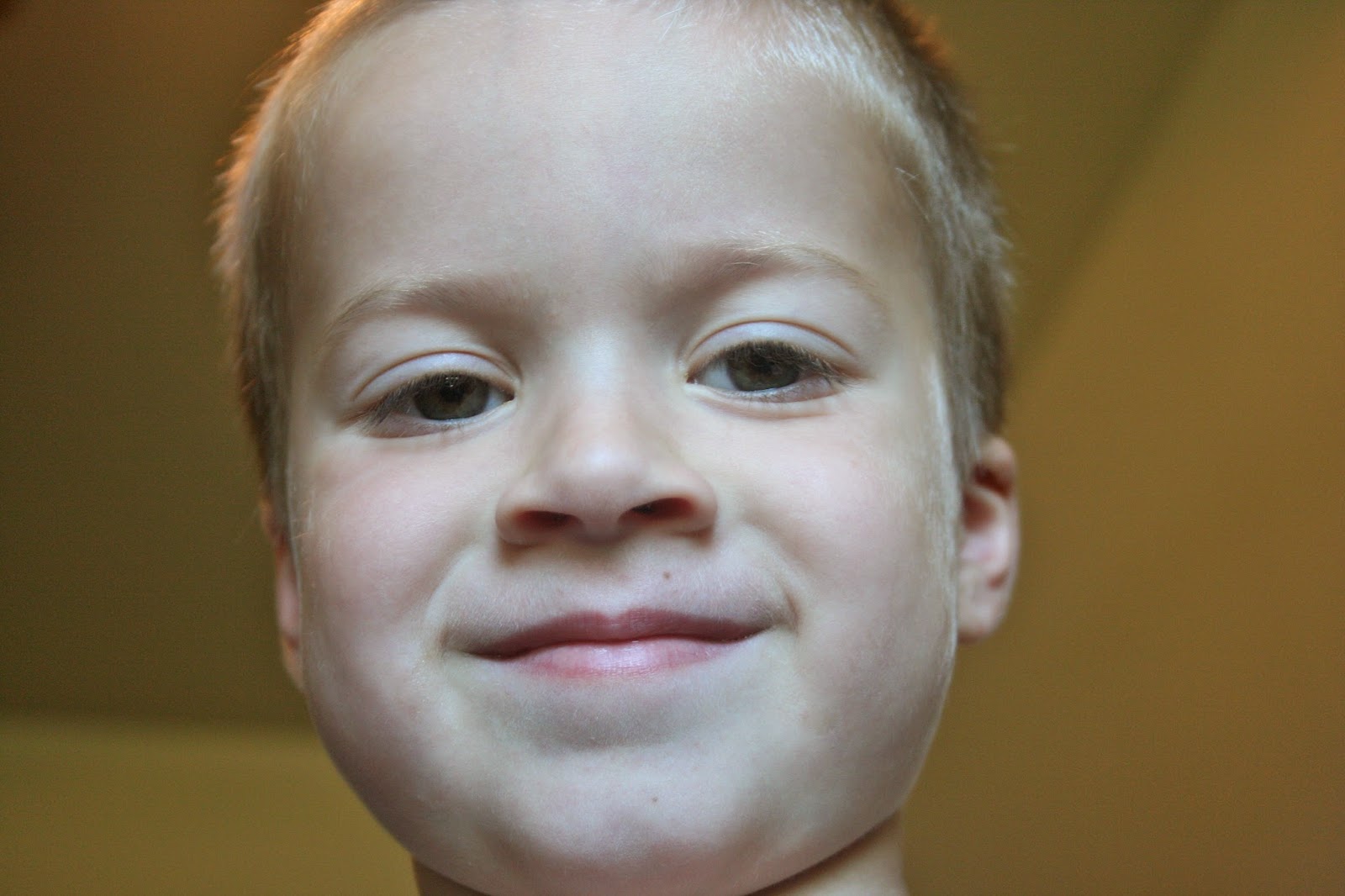 More Hours Per Day Kitchen Towels