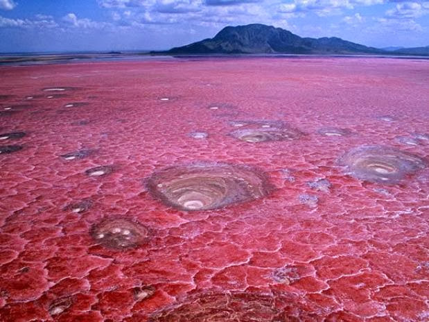 lago natron en tanzania lago natron en tanzania