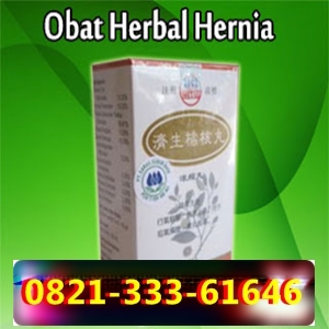 Obat Hernia Herbal