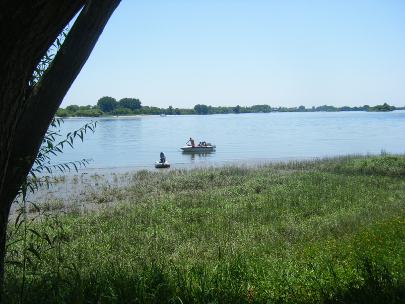 Barcos a Motor