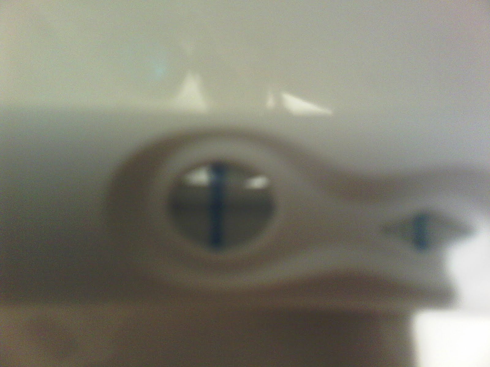 Dostinex And Pregnancy Test