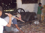 FABRICAÇÃO DE CACHAÇA SERRANA O FRANCINALDO