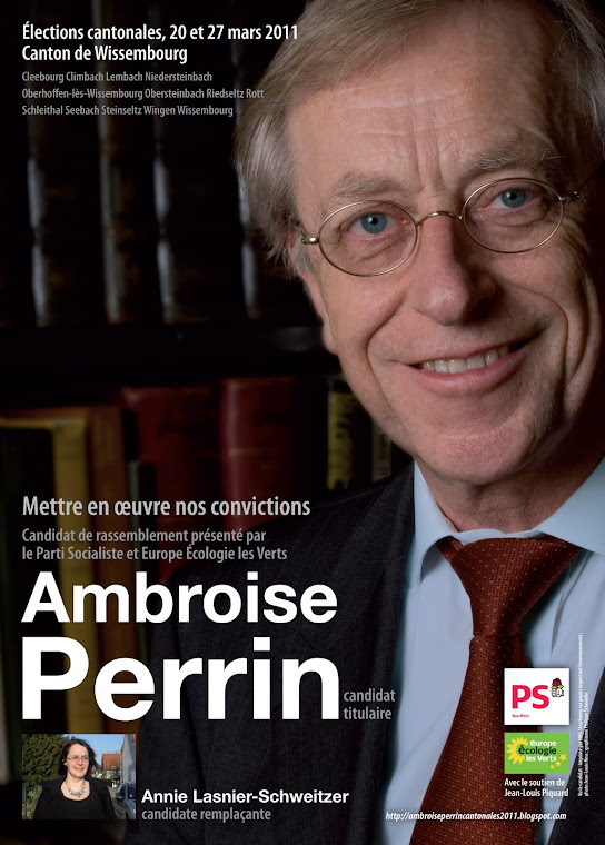 Votez Ambroise Perrin  !