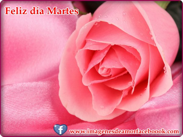 Imagenes del dia martes con frases - Imagui