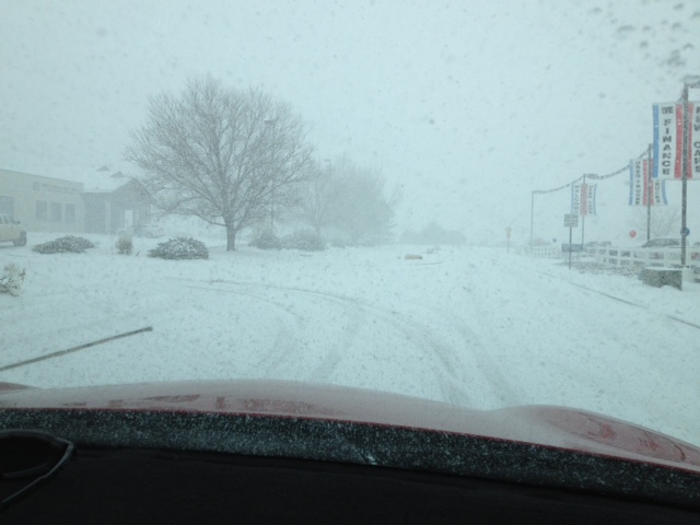 Spacefreighters Lounge We Survived Winter Storm Goliath