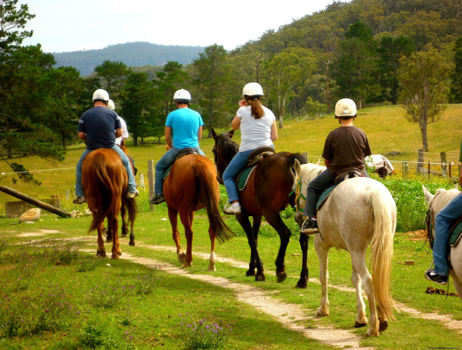 Person Riding Horse Person Riding Horse