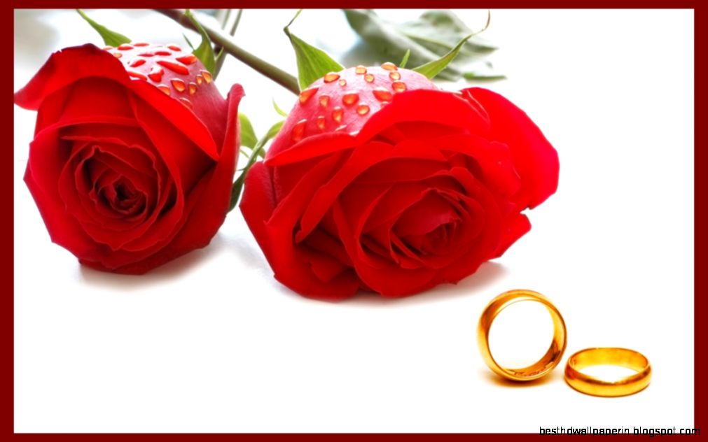 Happy Valentines Day Flower Wallpapers Images Red Rose Happy Valentines Day Flower Wallpapers Images Red Rose