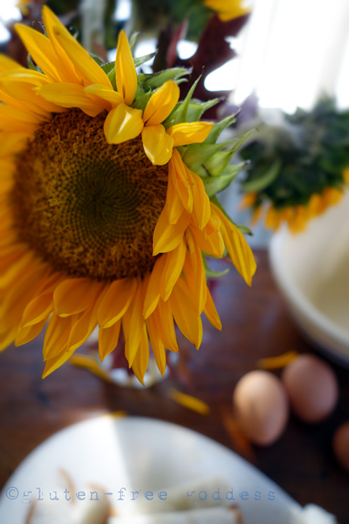 GlutenFree Goddess Recipes GlutenFree Baking Tips + Substitutions