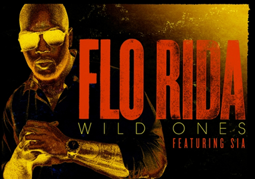Flo Rida Wild Ones Ft Sia Official Lyrics