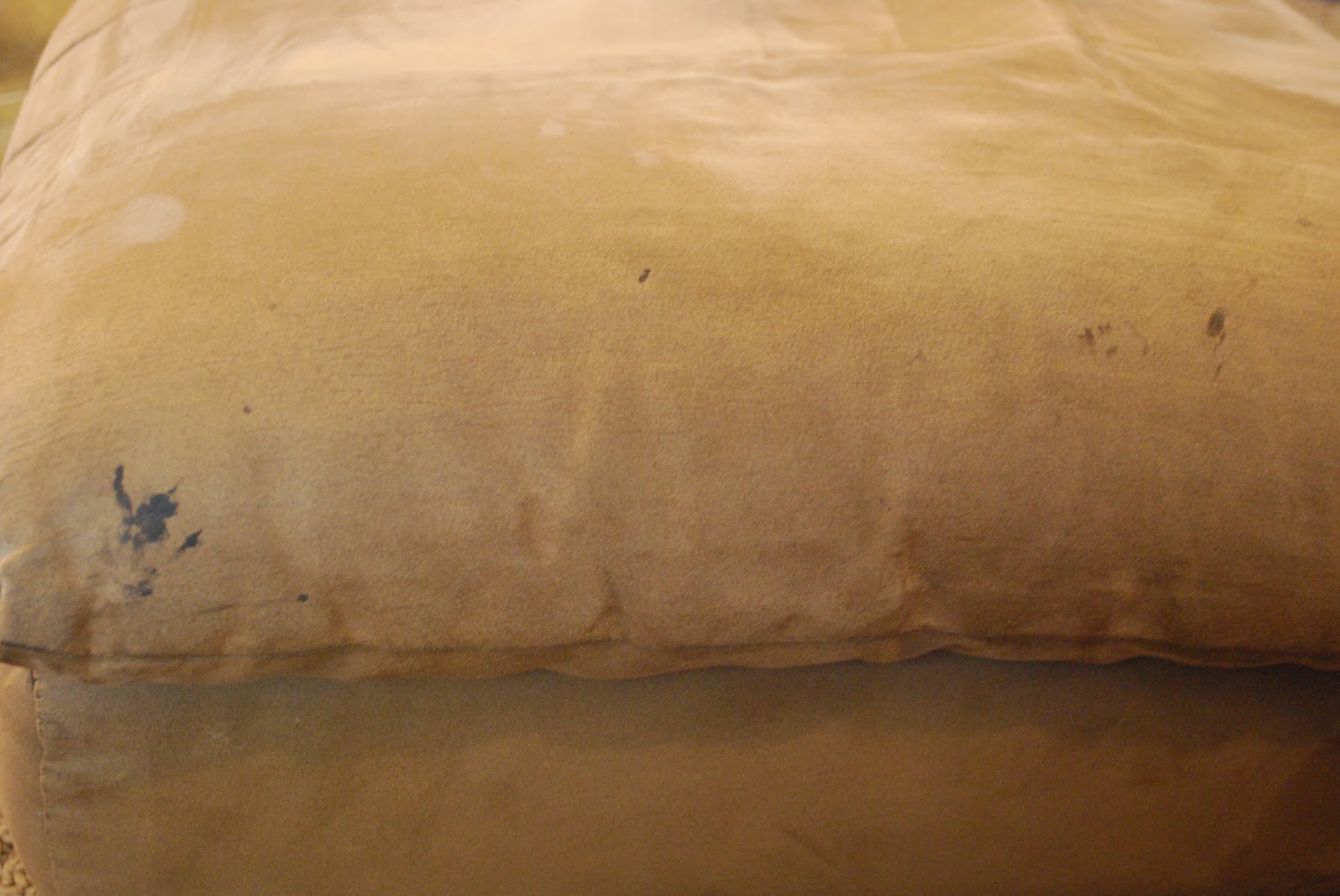 Sunshine and a Summer Breeze How to Clean Your Couch