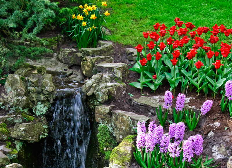 pemandangan bunga | Foto Dunia Alam Semesta INDONESIA