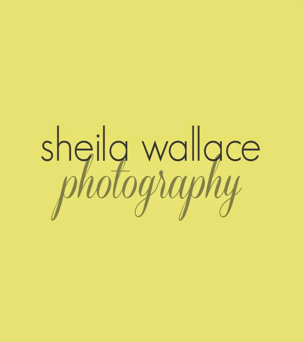 Sheila Wallace Photography