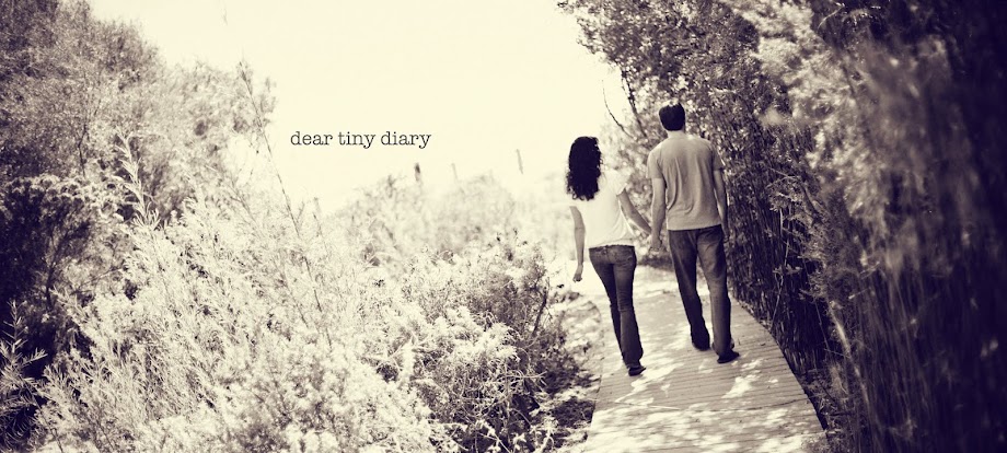 Dear Tiny Diary