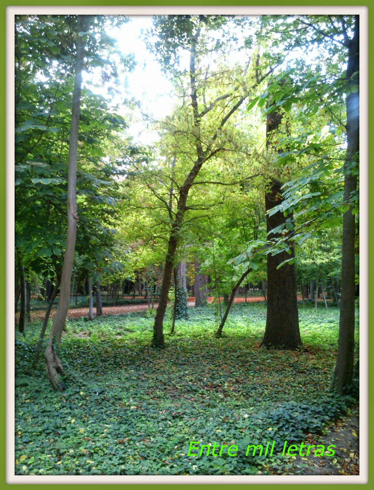 lo encontre sin sus pies la cintura al reves