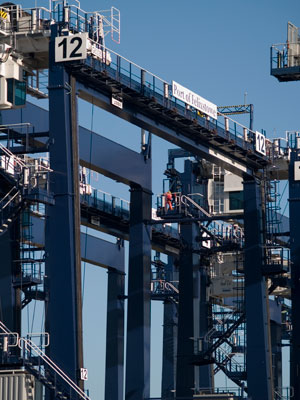 dock worker become dockers felixstowe